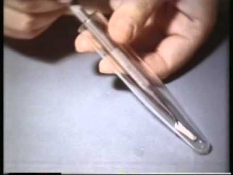 რა არის ჰემოფილია 1989