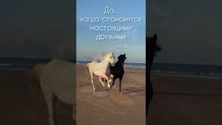 +79781616857 Екатерина агенство недвижимости Этажи г.Феодосия участки дома квартиры