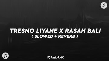 DJ TRESNO LIYANE X RASAH BALI🎶 ( SLOWED + REVERB )