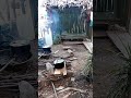 Cảnh nổi bật từ buổi phát trực tiếp