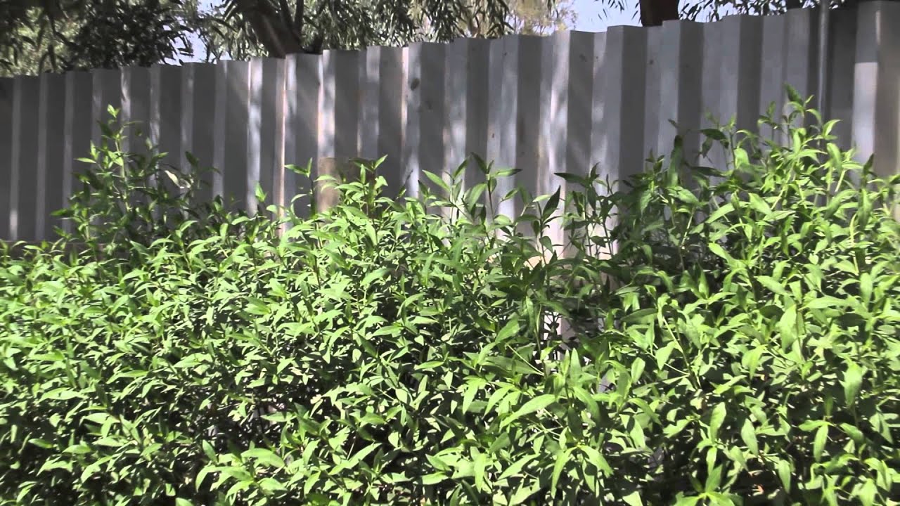 Deb Family House in Ahmadi, Kuwait