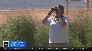 Beachgoers witness history as the Dali leaves the Port of Baltimore