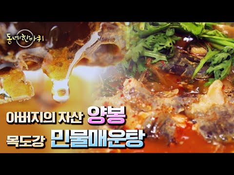 [동네 한 바퀴] 자연에 가까운 환경에서 키우는 양봉 일기 &amp;amp; 목도강 쌍둥이 형제의 <strong>민물매운탕</strong> “영글어간다 인생 – 충북 괴산” (KBS 20220910 방송)