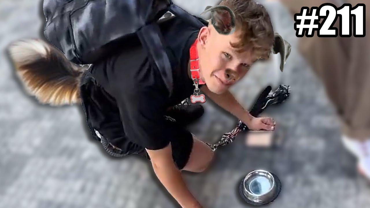 ZROZENÍ NOVÉHO BRUNCLÍKA!! 🐶 | Top klipy #211