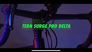 TERN SURGE PRO DELTA