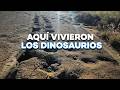 Huellas De DINOSAURIOS En Toro Toro Bolivia
