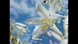 Nana Mouskouri -Mon Dieu-(Rossini).