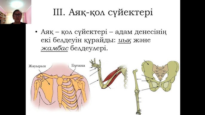 Егде жастағы әйелдердің әуесқойлық порнофотосуреттері