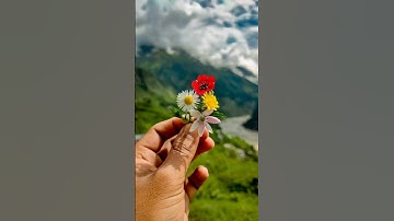 Thumbnail of #flowers #mountain #manali #manalitrip #subscribe #travel #manalitour