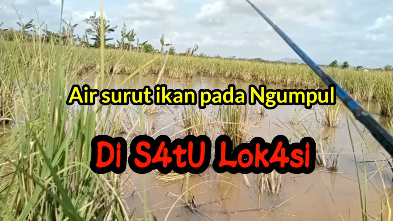 Airnya cuma satu jengkal tapi lihat sensasinya