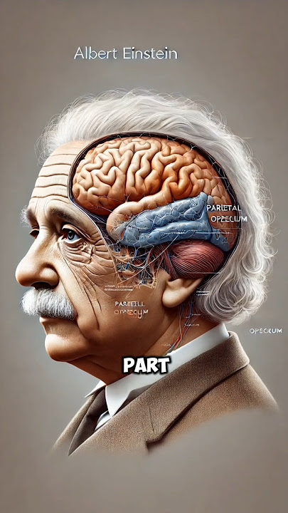 'The Shocking Secrets of Albert Einstein's Brain and Eyes!' || #factgeniususa #facts #shorts