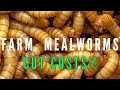 How to Farm Mealworms 2021 [ Saving Hundreds Per Year While Keeping Reptiles, Chickens and More]
