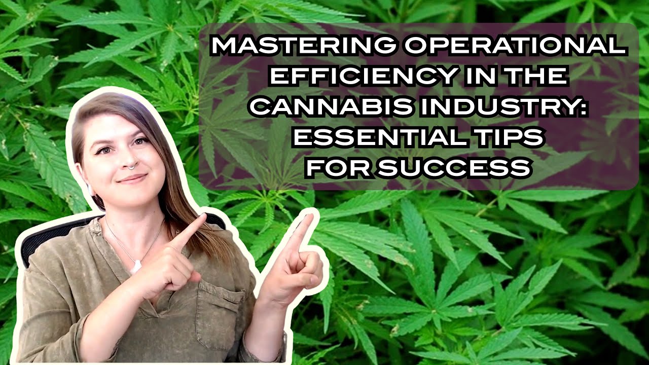 Operational Best Practices for Cannabis Businesses