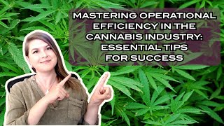 Operational Best Practices for Cannabis Businesses
