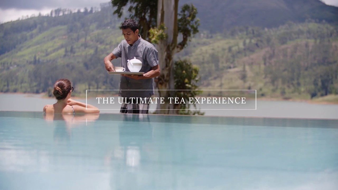 The Ultimate Tea Experience at Ceylon Tea Trails