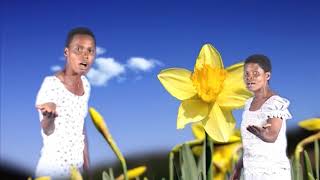 Download lagu Kagunga SDA Choir-Mwokozi wangu (Mwanza Sengerema)