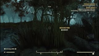 Fallout76 daily challenges 11 (Angler)