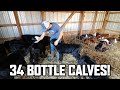 I HAVE TOO MANY BOTTLE CALVES!