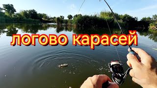 Мормышинг. Здесь куча рыбы, зря я сменил место.