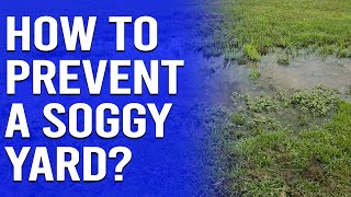 How to Prevent a Soggy Yard - Easy Ways to Dry Up a Wet Yard by Trim That Weed - Your Gardening Resource 634 views 3 weeks ago 2 minutes, 48 seconds