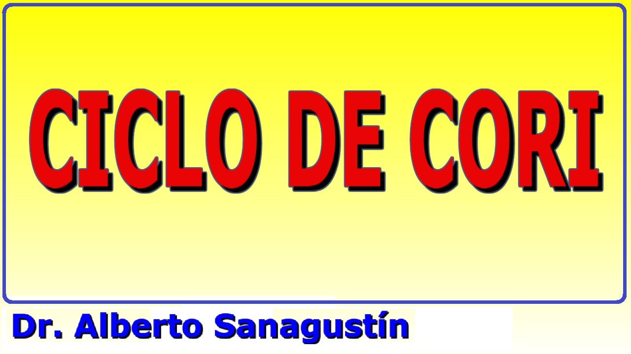 Ciclo de Cori paso a paso #bioquímica