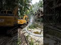 From Jungle Ruin to Luxury Tropical Paradise | Viral Pool Restoration Timelapse #pool #swimmingpool