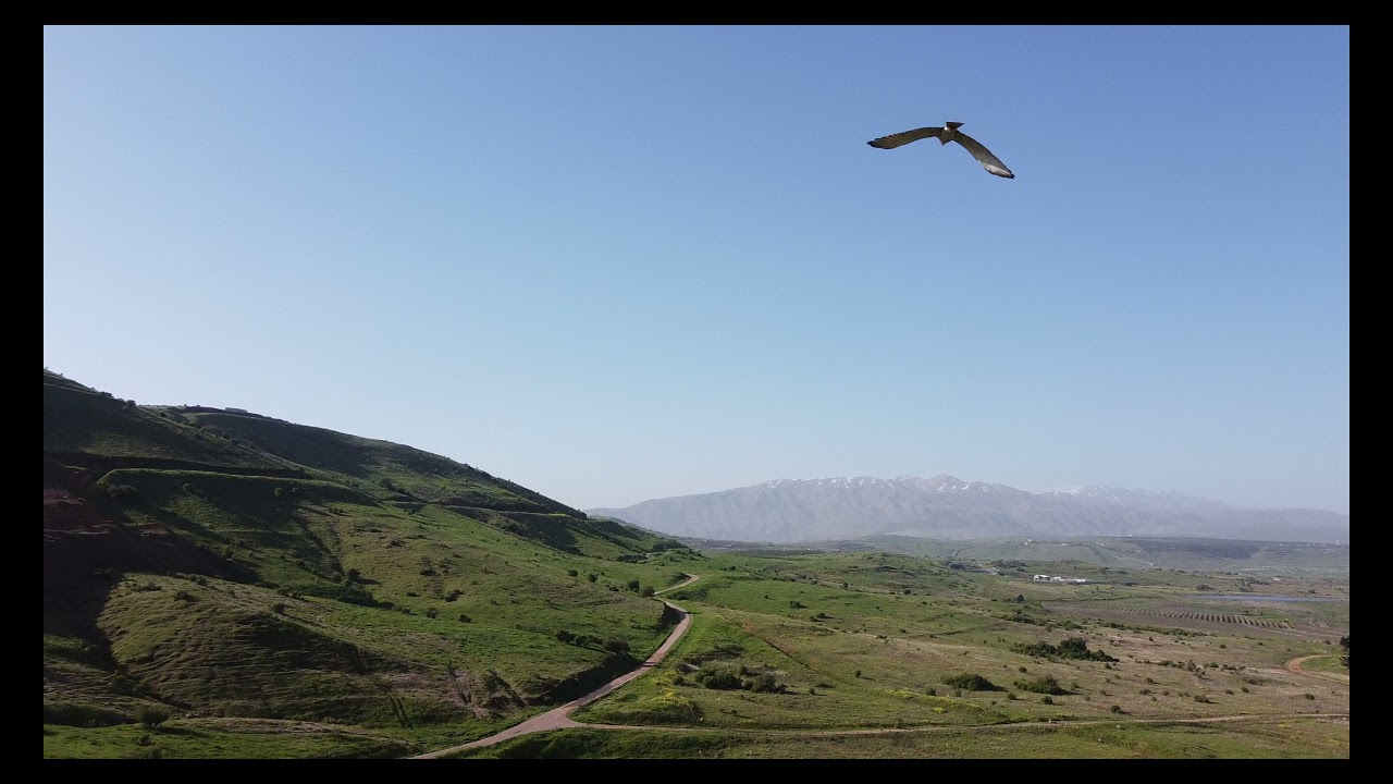 Valley of Tears \ Долина Слёз \ עמק הבכא