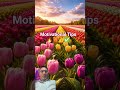 Motivational Tips 🔥💯👍✅#viralvideo #motivation #successquotes #inspirational #trending #shortsfeed