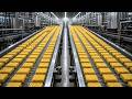 Inside a Massive Instant Noodle Factory: Complete Production Process