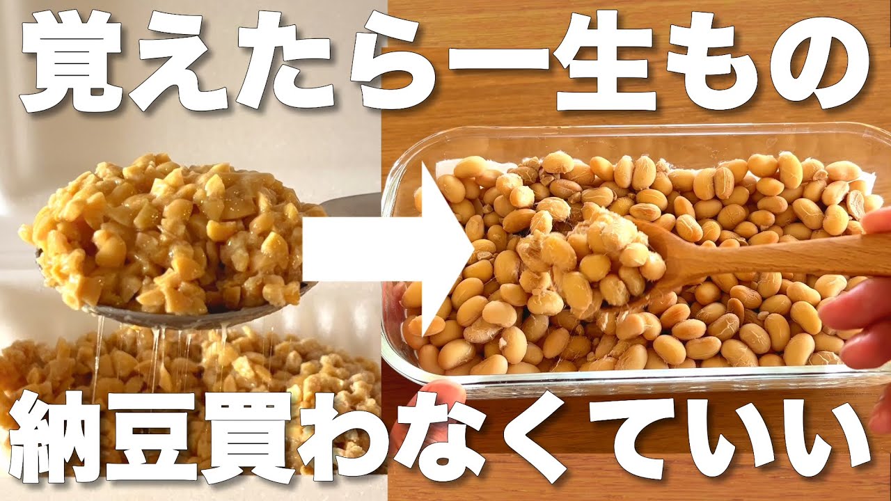 【70倍に納豆を増やす方法】 市販の納豆から無添加納豆を無限に作る