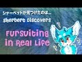 Sherbert Discovers...The Realities of Fursuiting 「シャーベットが見つけたのは...着ぐるみの現実」