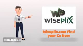 Chartered Accountant Services On Wiseplix