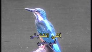 Arabic Karaoke: Abed El Halim Hafez   Kifaya Nourak