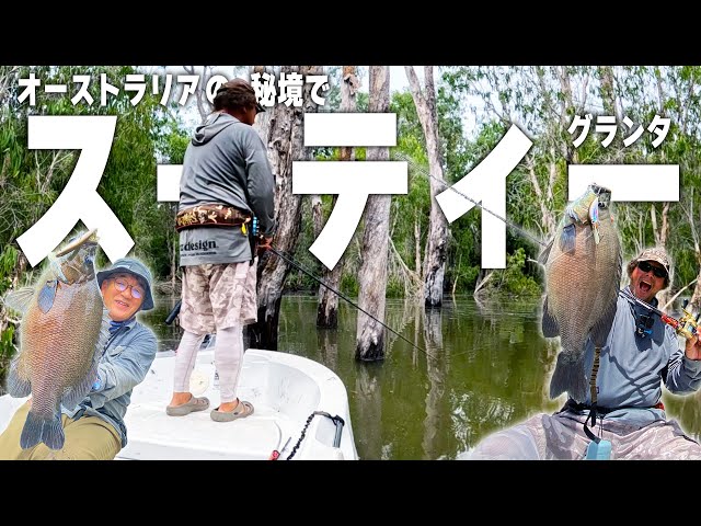 We Were Targeting Barramundi… Then an Unexpected Monster Fish