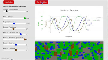 Population Dynamics