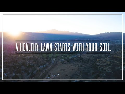 Quick guide for new lawn: soil amendment