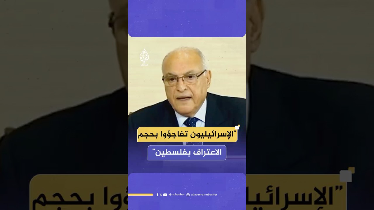وزير الخارجية الجزائري: الإسرائيليون تفاجؤوا بحجم الاعتراف الدولي بدولة فلسطين