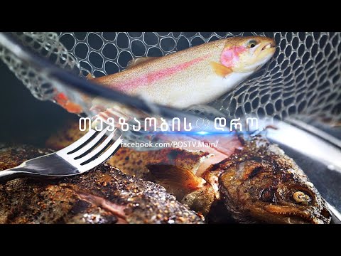 ვიდეო: ექოს გამათბობლით თევზაობის მახასიათებლები