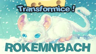 TRANSFORMICE - Rokemnbach