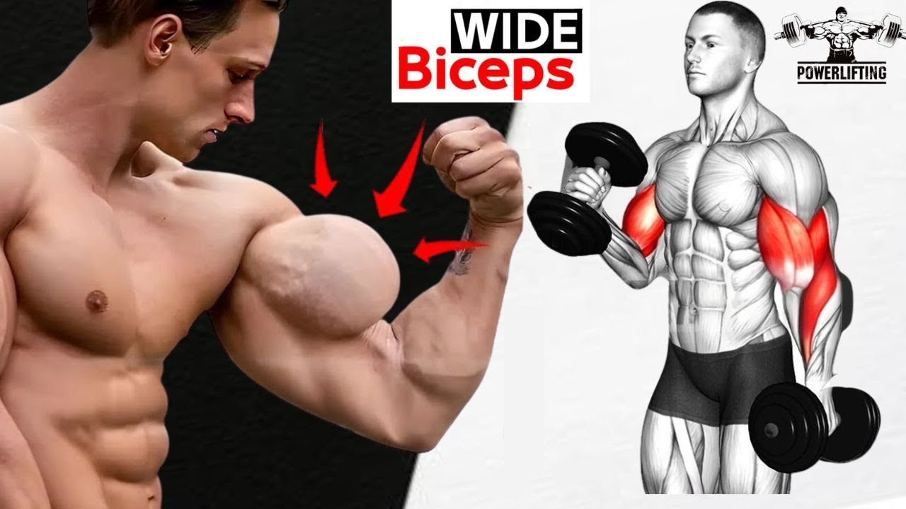 Get Bigger Biceps - These are the 6 Best Exercises for Building Bigger ...