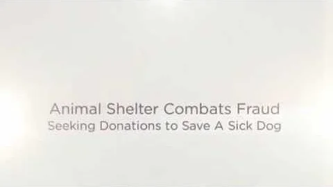 Animal Shelter Combats Fraud - Steve Stallings