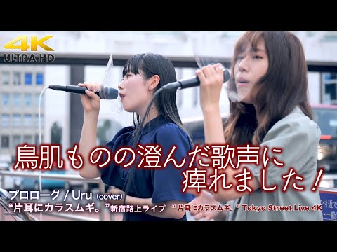 【 感動の歌声 】鳥肌ものの澄んだ歌声に痺れました！　プロローグ / Uru（cover）" 片耳にカラスムギ。" 新宿路上ライブ  4K映像