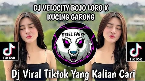 DJ VELOCITY BOJO LORO X KUCING GARONG DJ VIRAL TIKTOK TERBARU YANG KALIAN CARI