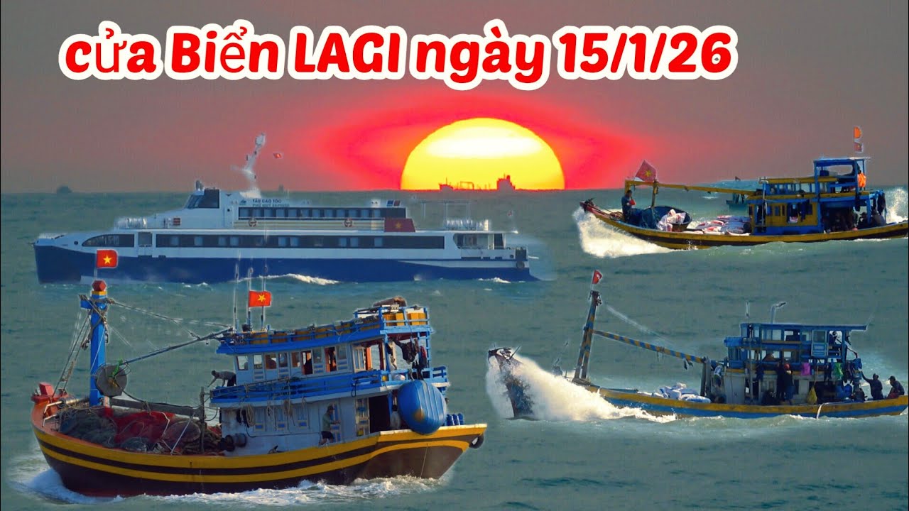 Cập Nhật Tình Hình Cửa Biển LAGI Ngày 15/1/26.!!!!