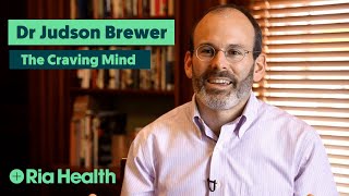 Overcome Craving & Addiction with Mindfulness | Dr Judson Brewer
