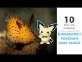 10 Real Life Pokemon Nudibranchs (with footage)