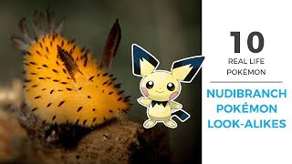 10 Real Life Pokemon Nudibranchs (with footage)