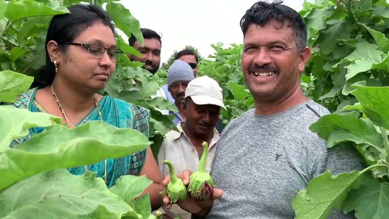 SCTवैदिक🍆100दिस पाऊस असून 10गुंठ्यात रोज जागेवर10,000॥महिन्याला RNPH व शिलाजीत ट्रीटमेंटचा चमत्कार‼️