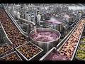 Inside a Modern Multi-Fruit Factory: The Mangosteen Extract Process