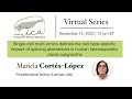 CICA Virtual Seminar Series- Cortes Lopez- 11/14/2023